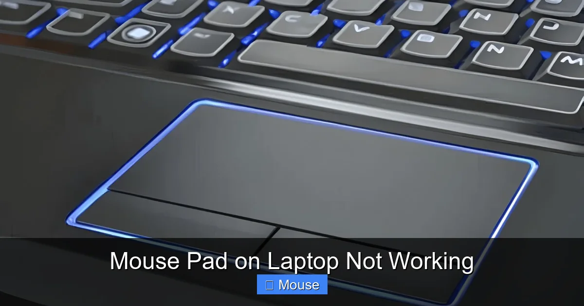 Mouse Pad on Laptop Not Working