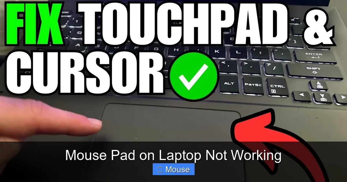 Mouse Pad on Laptop Not Working
