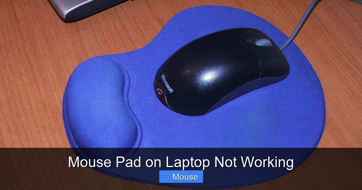 Mouse Pad on Laptop Not Working