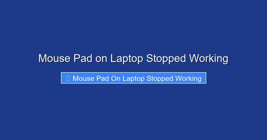 Mouse Pad on Laptop Stopped Working