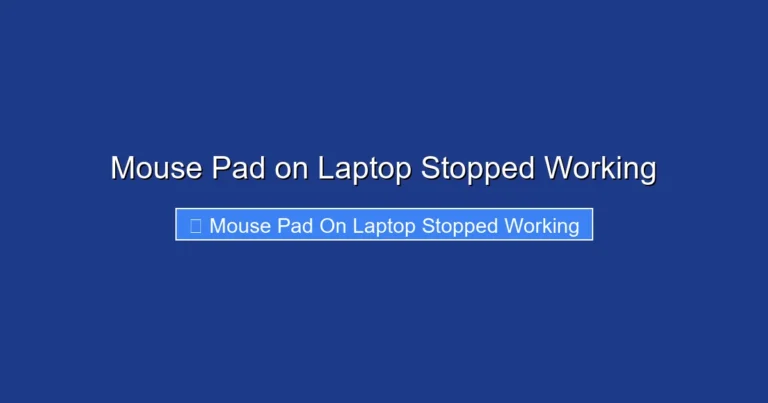 Mouse Pad on Laptop Stopped Working
