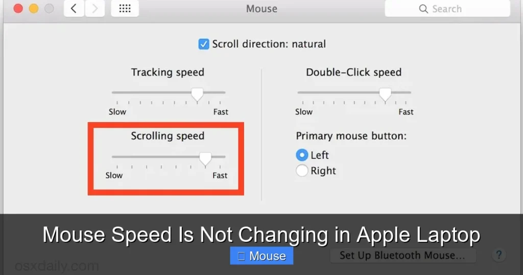 Mouse Speed Is Not Changing in Apple Laptop