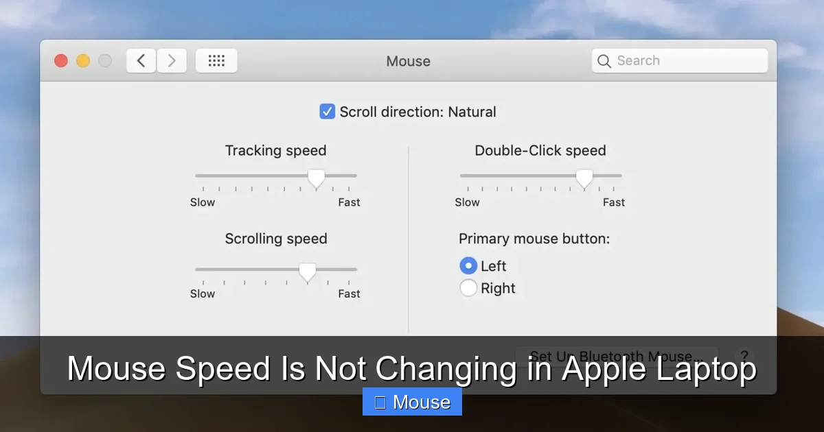 Mouse Speed Is Not Changing in Apple Laptop
