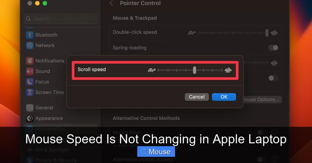 Mouse Speed Is Not Changing in Apple Laptop
