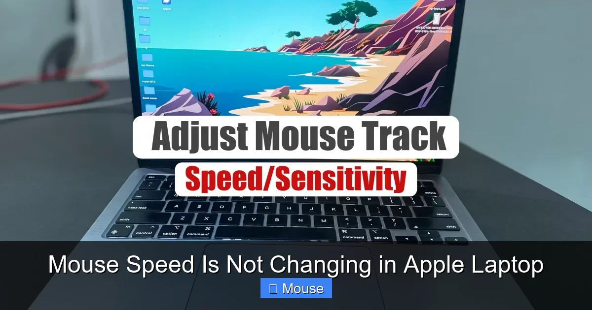 Mouse Speed Is Not Changing in Apple Laptop