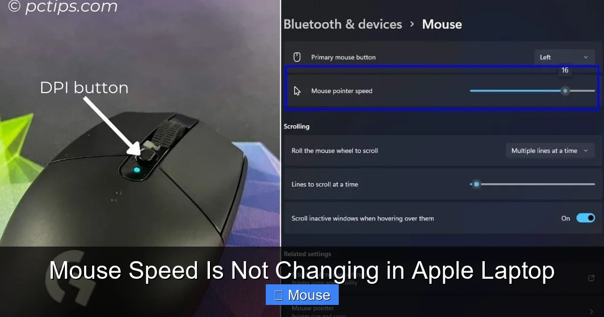 Mouse Speed Is Not Changing in Apple Laptop