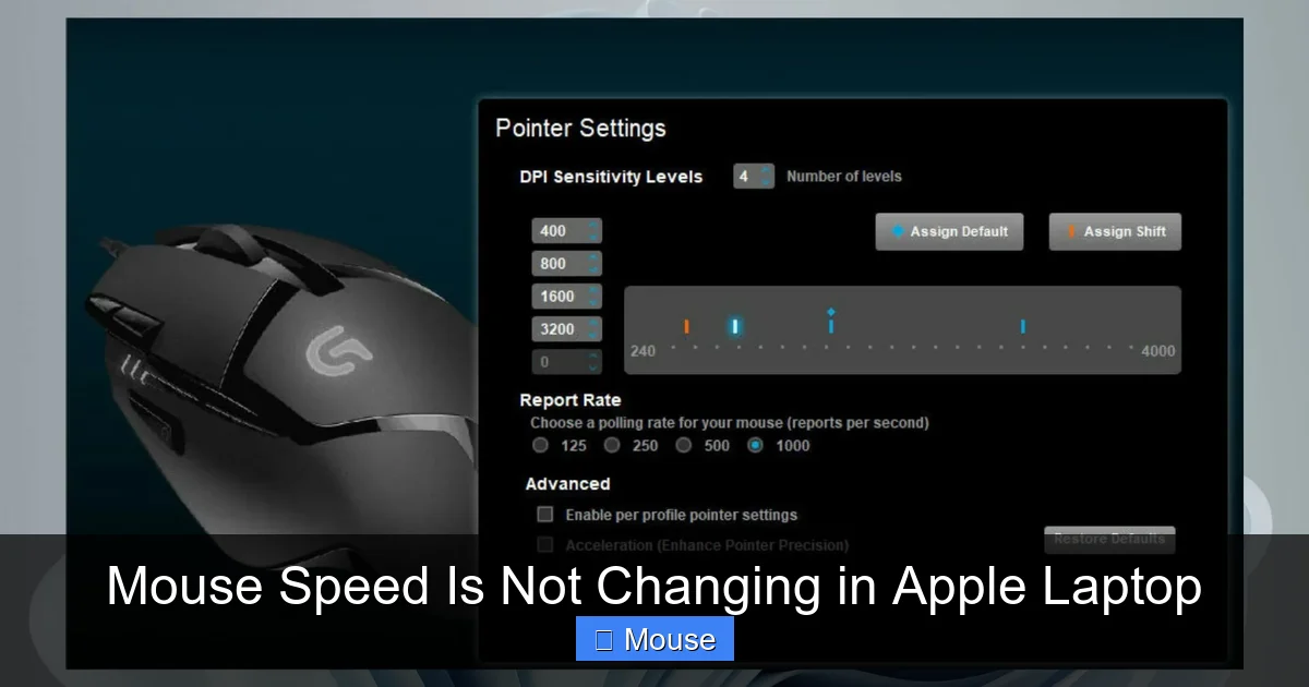 Mouse Speed Is Not Changing in Apple Laptop