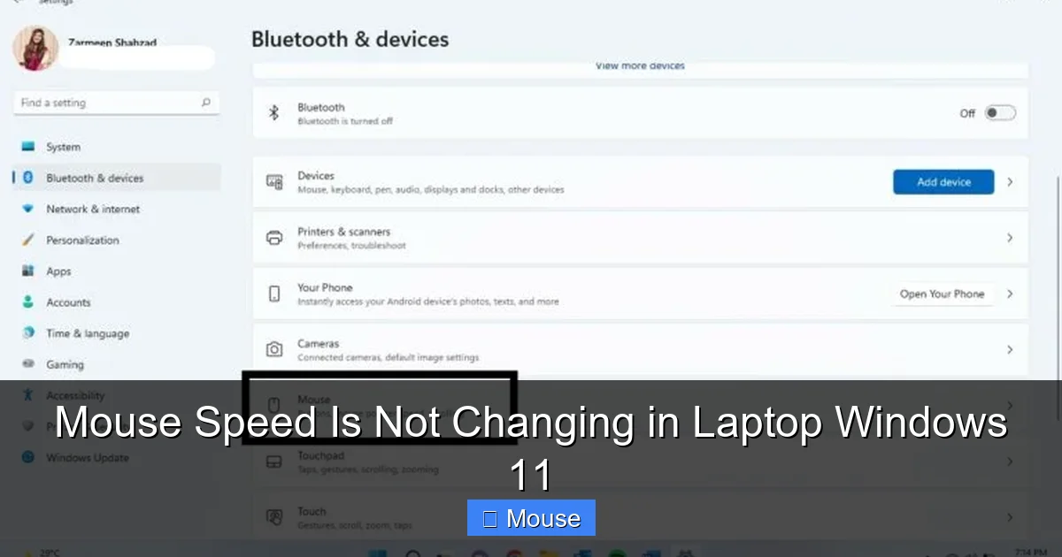 Mouse Speed Is Not Changing in Laptop Windows 11