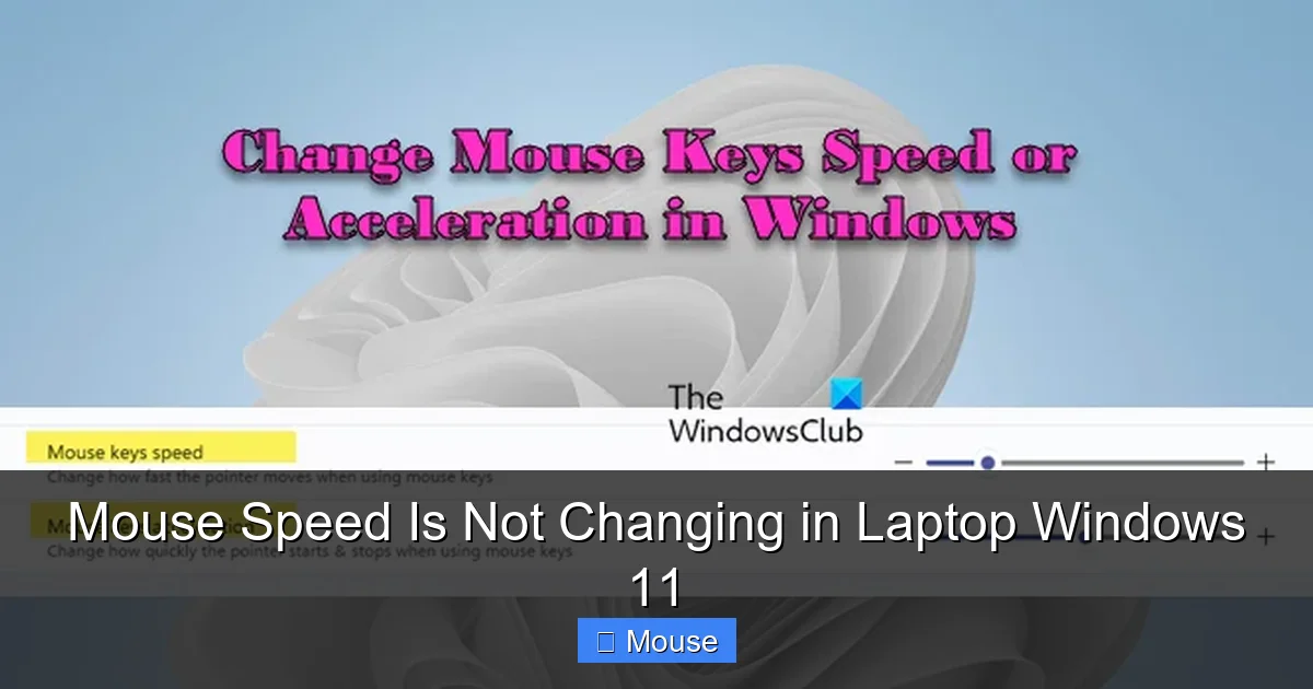 Mouse Speed Is Not Changing in Laptop Windows 11