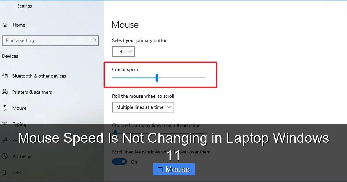 Mouse Speed Is Not Changing in Laptop Windows 11