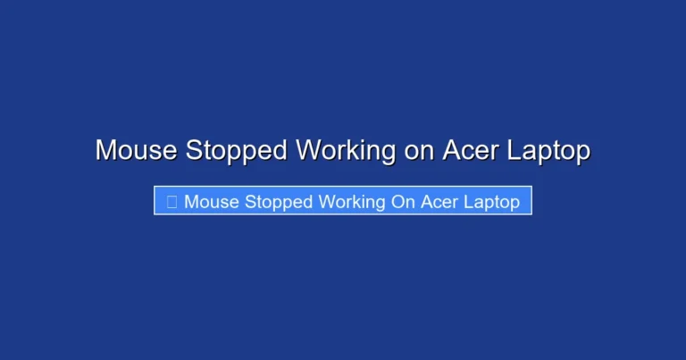 Mouse Stopped Working on Acer Laptop