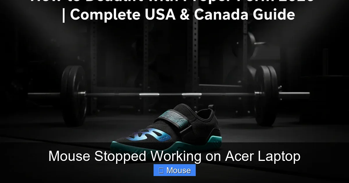 Mouse Stopped Working on Acer Laptop