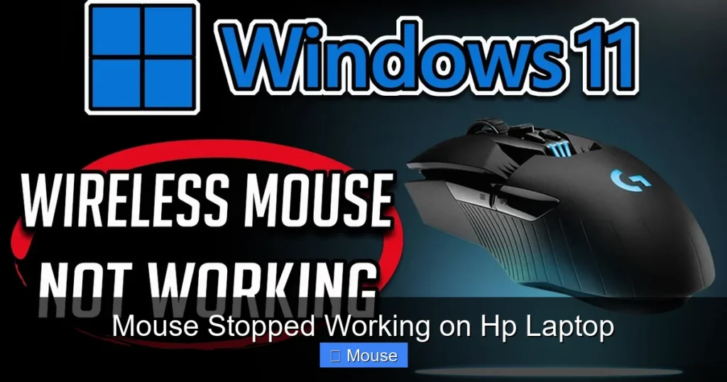 Mouse Stopped Working on Hp Laptop