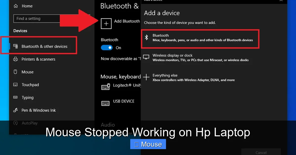Mouse Stopped Working on Hp Laptop