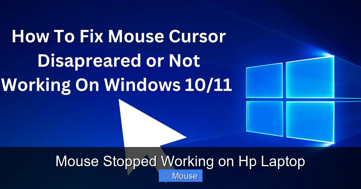 Mouse Stopped Working on Hp Laptop