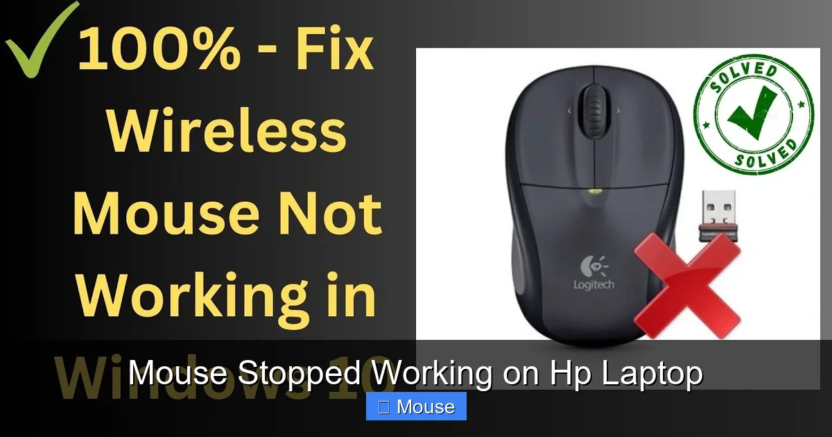 Mouse Stopped Working on Hp Laptop