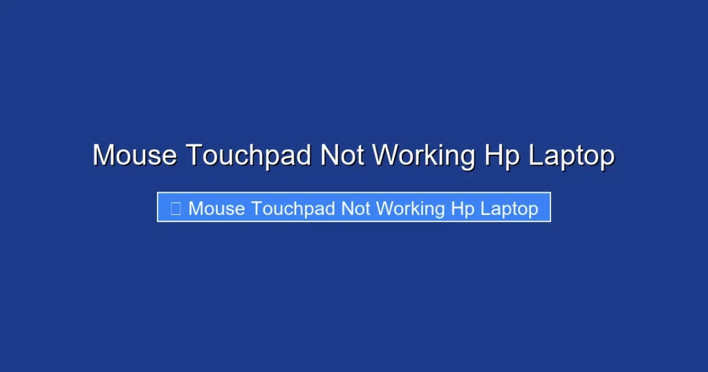 Mouse Touchpad Not Working Hp Laptop