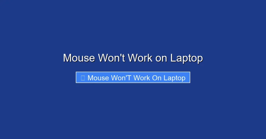 Mouse Won't Work on Laptop