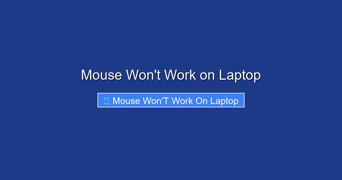Mouse Won't Work on Laptop