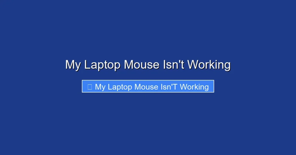 My Laptop Mouse Isn't Working