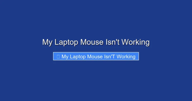 My Laptop Mouse Isn't Working