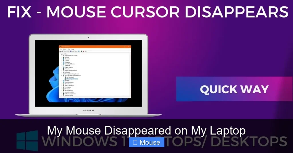 My Mouse Disappeared on My Laptop