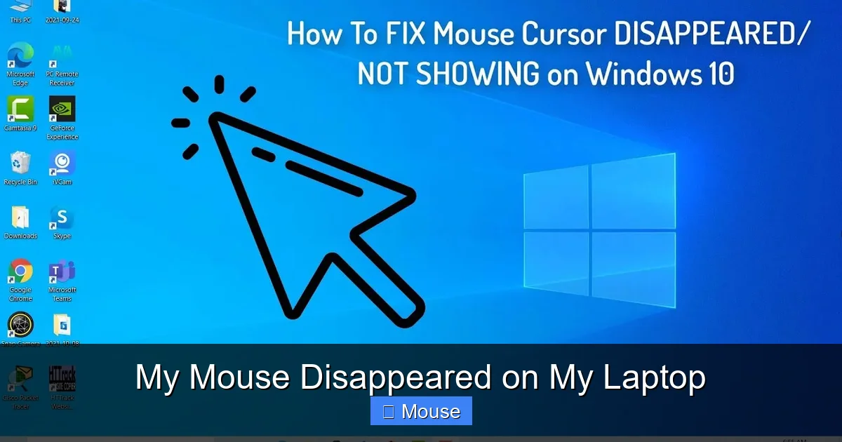 My Mouse Disappeared on My Laptop