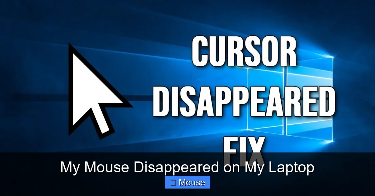 My Mouse Disappeared on My Laptop