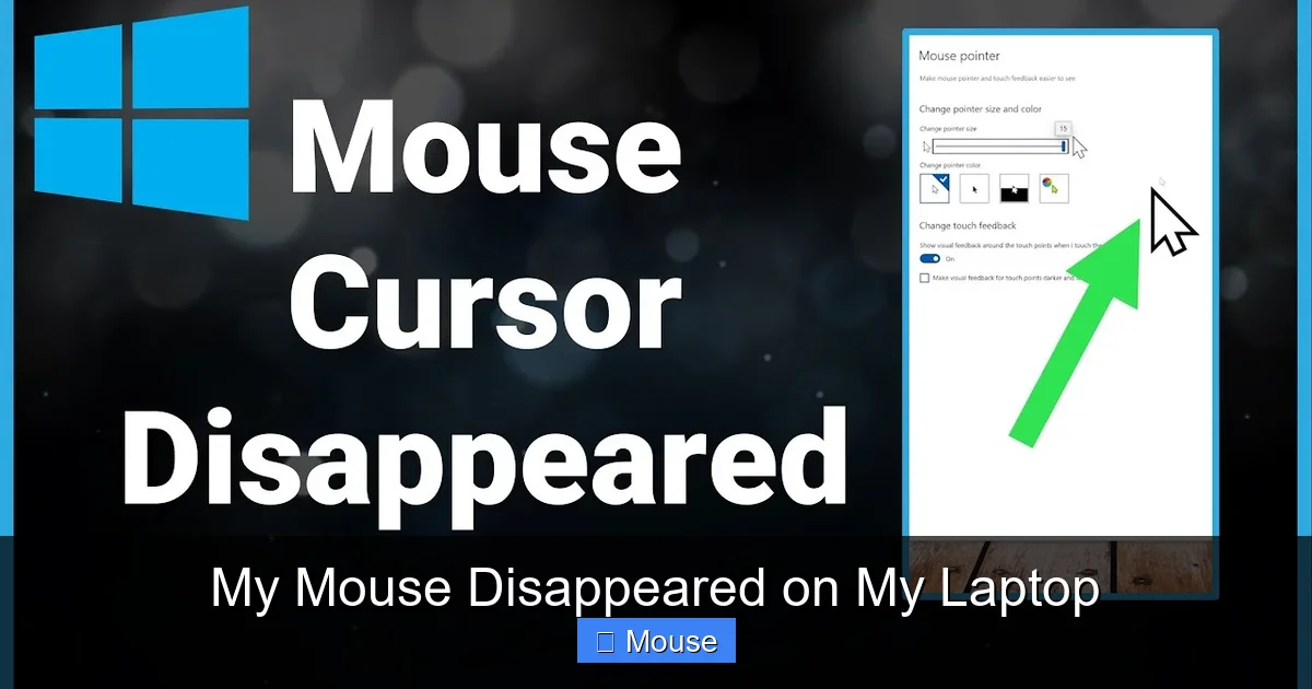 My Mouse Disappeared on My Laptop