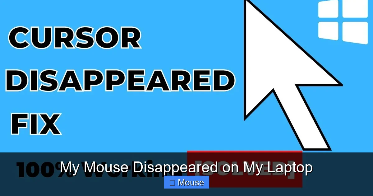 My Mouse Disappeared on My Laptop