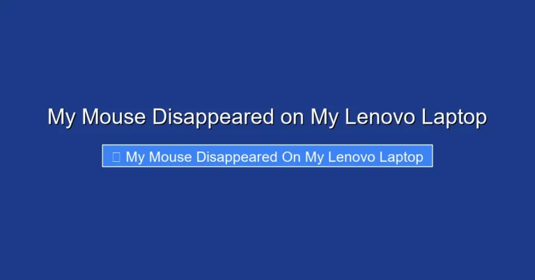 My Mouse Disappeared on My Lenovo Laptop