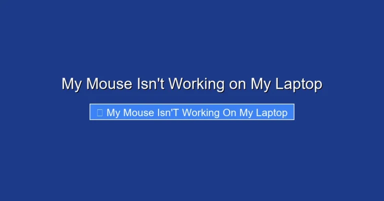 My Mouse Isn't Working on My Laptop