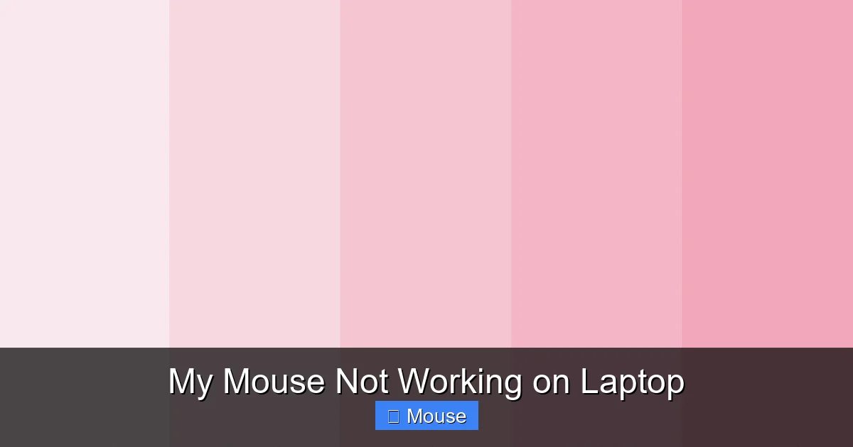 My Mouse Not Working on Laptop