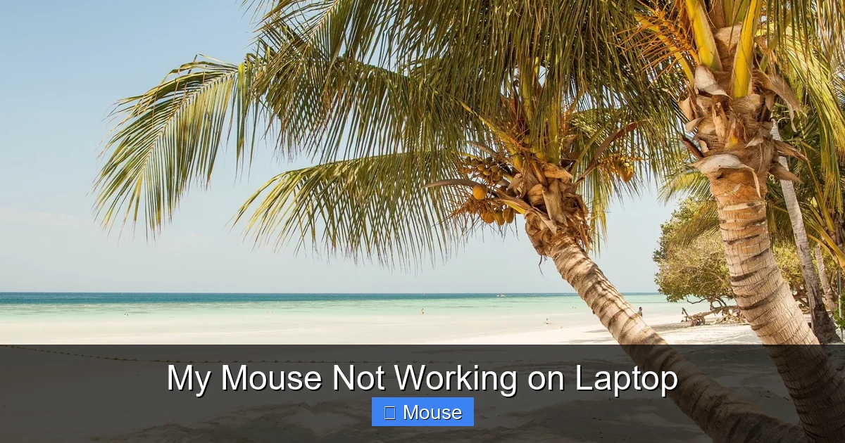 My Mouse Not Working on Laptop