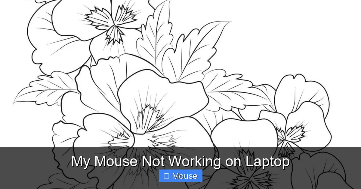 My Mouse Not Working on Laptop