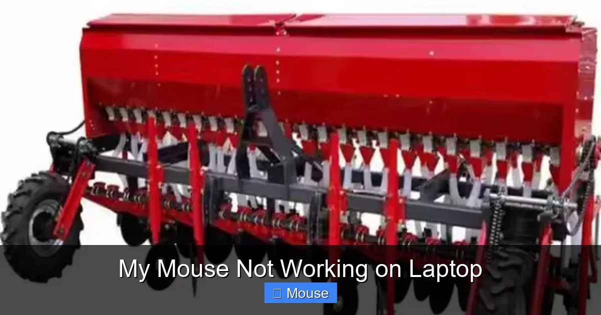 My Mouse Not Working on Laptop
