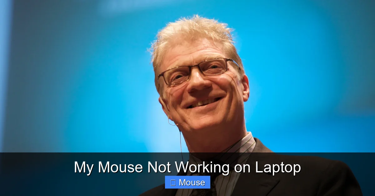 My Mouse Not Working on Laptop
