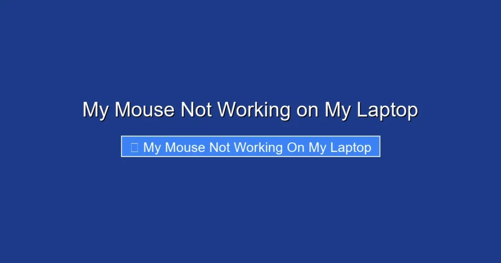 My Mouse Not Working on My Laptop