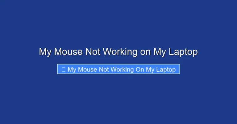 My Mouse Not Working on My Laptop