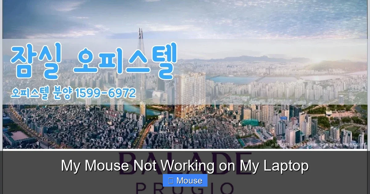 My Mouse Not Working on My Laptop