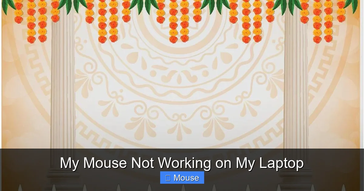 My Mouse Not Working on My Laptop