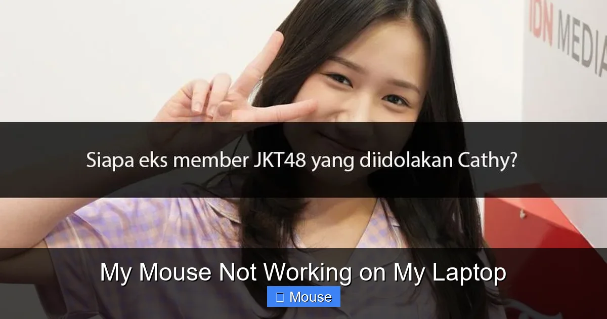 My Mouse Not Working on My Laptop