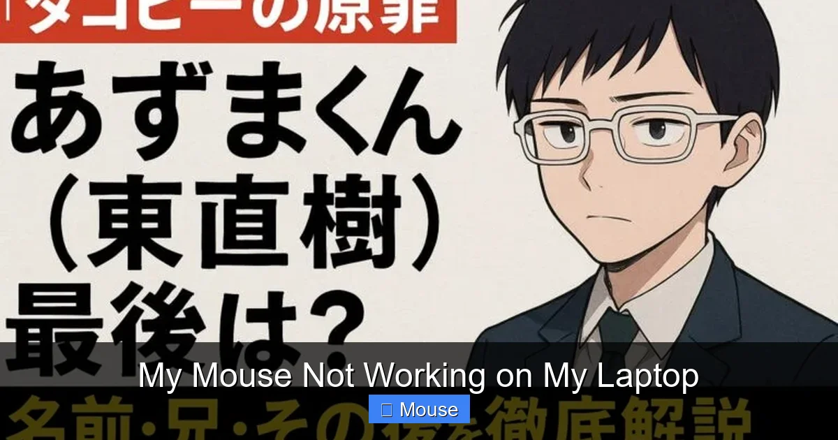 My Mouse Not Working on My Laptop