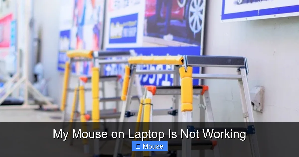My Mouse on Laptop Is Not Working