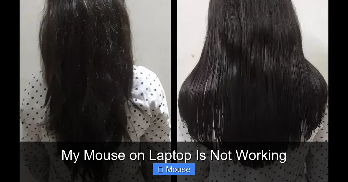 My Mouse on Laptop Is Not Working