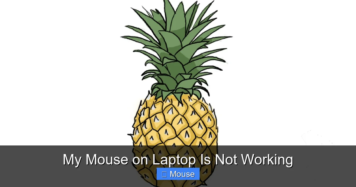 My Mouse on Laptop Is Not Working