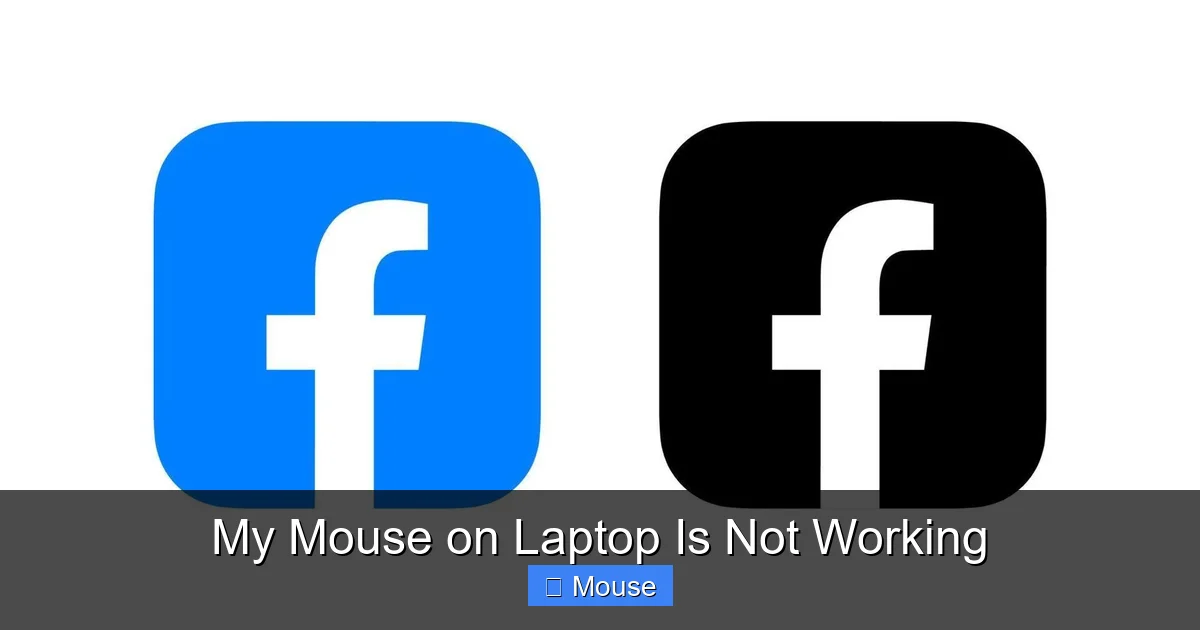 My Mouse on Laptop Is Not Working