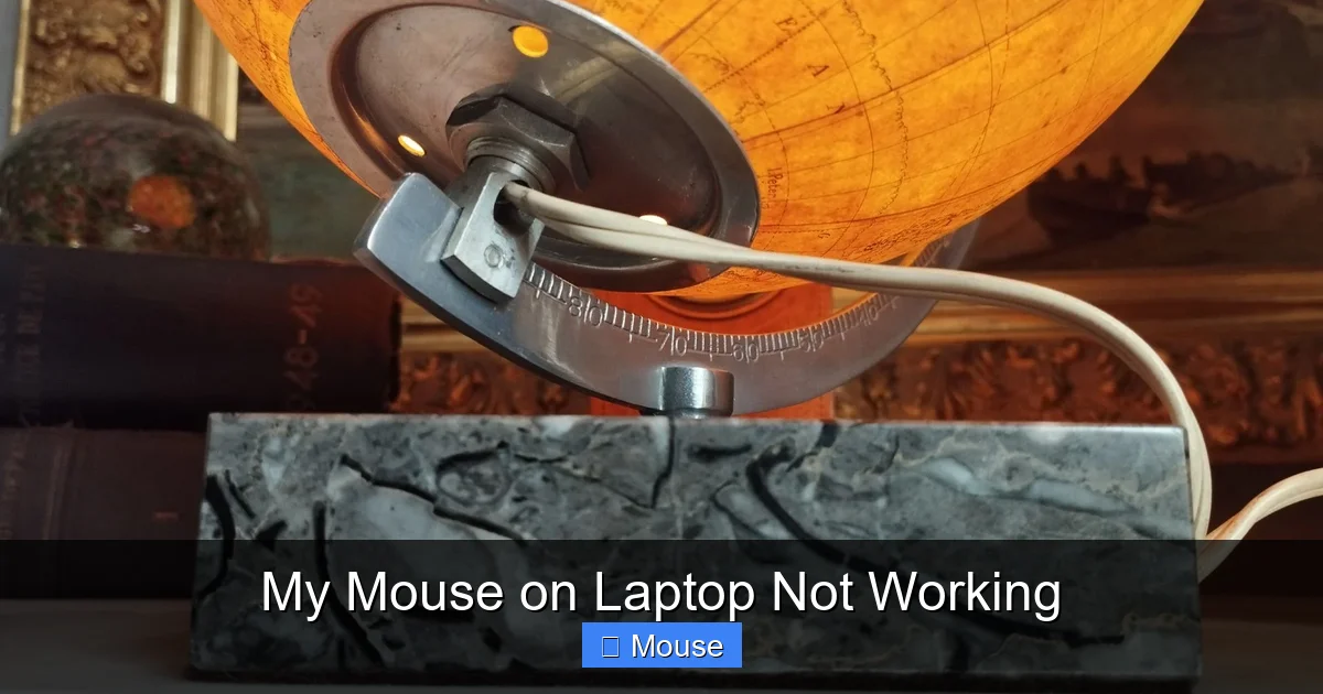My Mouse on Laptop Not Working