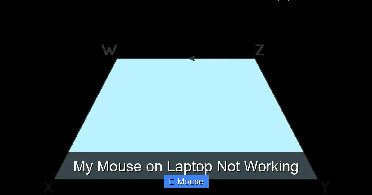 My Mouse on Laptop Not Working