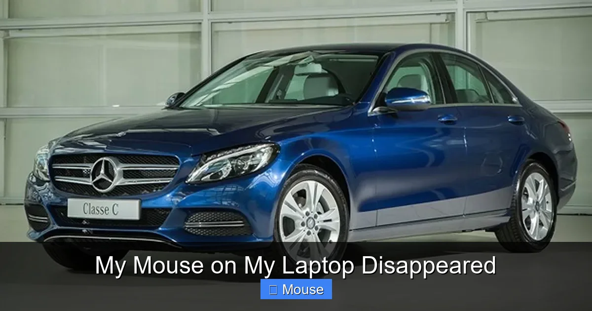 My Mouse on My Laptop Disappeared